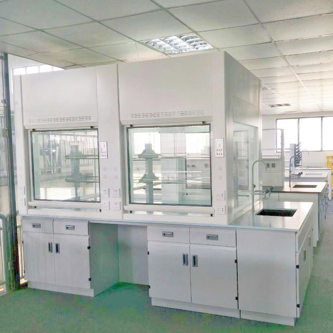 Double-sided fume hood installation for teaching laboratory demonstrations
