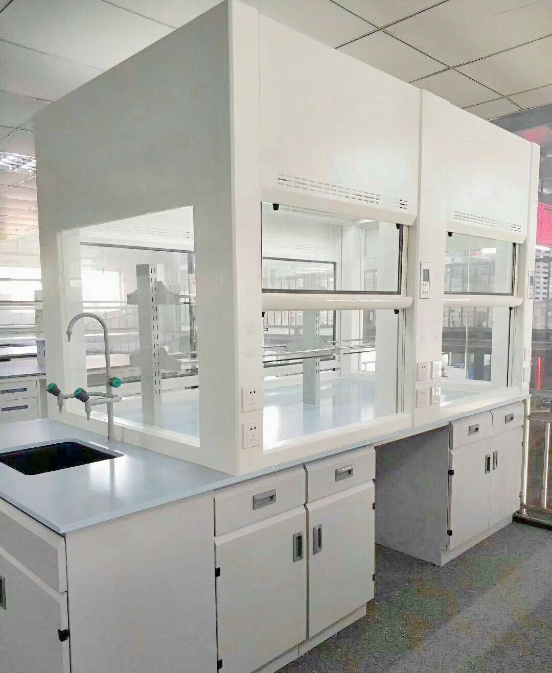 Double-sided teaching fume hood installed on central island casework