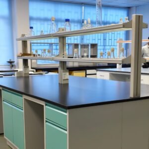 Laboratory island bench with black worktop, under-bench cabinets, reagent shelving and service outlets