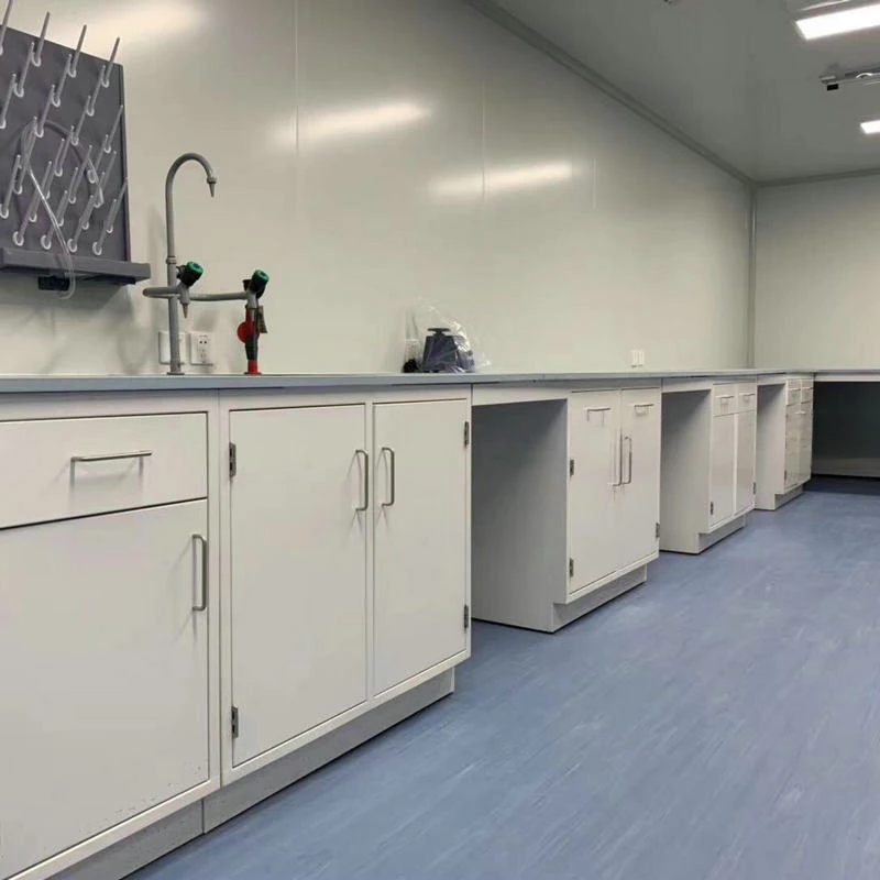 Laboratory wall bench with sink, laboratory faucets, storage cabinets and worktop